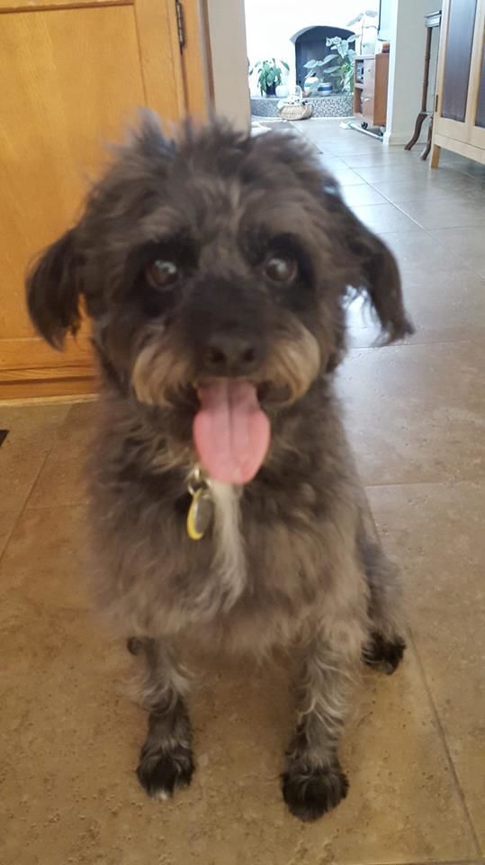 Readers pet photos
